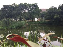 -人民公园(罗湖区)