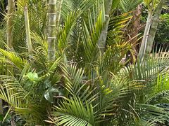 -忆江南·生态餐饮宴会酒店