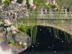 -海棠花溪(元大都城垣遗址公园)
