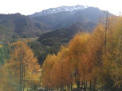 -硗碛藏寨·神木垒景区