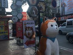 -宁曼路