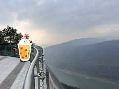 -铁山坪森林公园