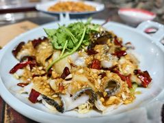 -酒肉门孔府菜(曲阜游客中心店)