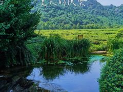 -中国茶叶博物馆(双峰馆区)