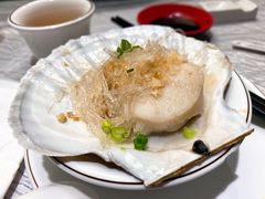 蒜蓉粉丝蒸元贝-强记海鲜·大排档(蛇口新街店)