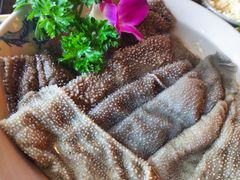 精品鲜毛肚-小龙坎火锅(双林店)