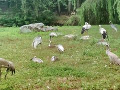 -秦皇岛野生动物园