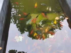 -老北京风情街