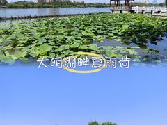 -济南大明湖景区