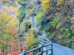 -少华山国家森林公园