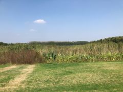 -南京枫彩漫城