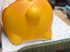 -半岛宠物医院24小时(白果林店)