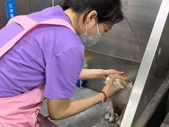 -北京观赏动物医院·24小时大型综合·猫专科·异宠专科