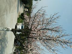android_upload_pic-我家农庄
