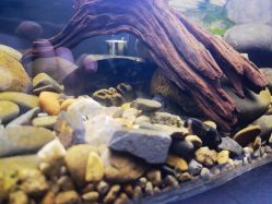 -Zoolung Zoolung动物主题公园(海信广场店)