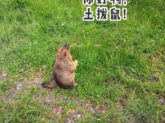 -黄河九曲第一湾