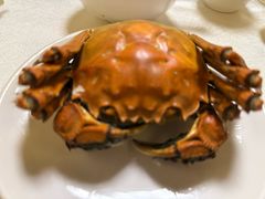 -华盛丰温州大排档(东三环南路店)