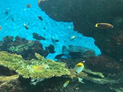 -鹿儿岛水族馆
