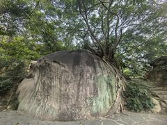 -草庵摩尼教遗址公园