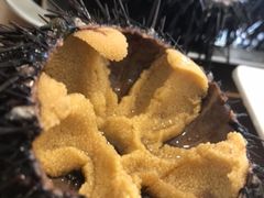 -海胆小馆(东北水饺·春柳店)