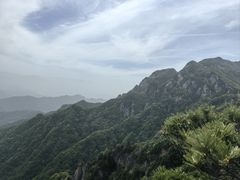 -王顺山国家森林公园