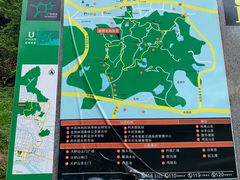 -火炉山森林公园