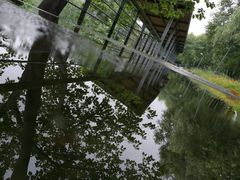-西湖风景区-江洋畈生态公园