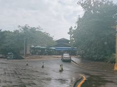 -东寨港红树林旅游区