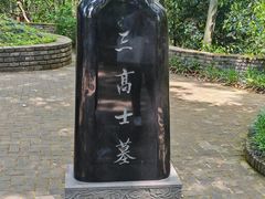 -上海佘山国家森林公园天马山园