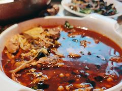 -天辣(金桥啦啦宝都店)