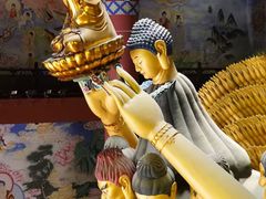 -上海东林寺(金山区)