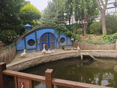 -南宫五洲植物乐园