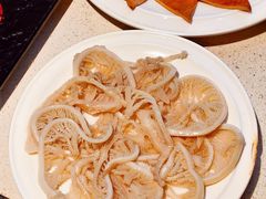 千层肚-红鼎坊·老成都火锅(新南门店)