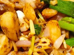 砂锅啫牛蛙煲-新旺茶餐厅(嘉里城店)