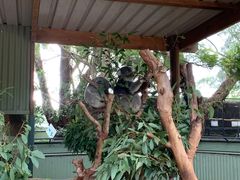 -费瑟代尔野生动物园