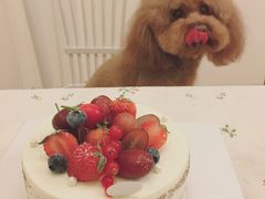 -美丽心情蛋糕(江苏路店)