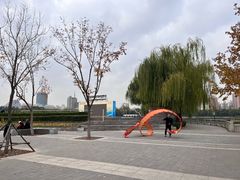 -莲花池公园