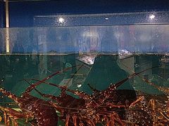 iphone_upload_pic-龙景轩大酒店(宝杨路店)