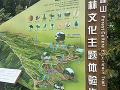 -广州市帽峰山景区