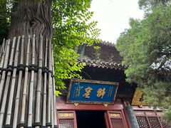 -洛阳白马寺
