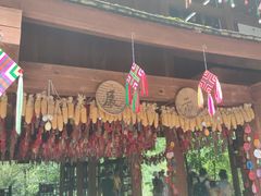 -西双版纳原始森林公园