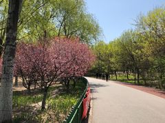 -名表维修(庄胜崇光百货店)