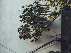 -阳明祠