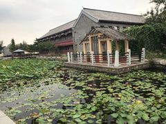 -万源龙顺度假庄园生态观光园