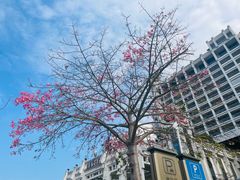 -开心农家菜