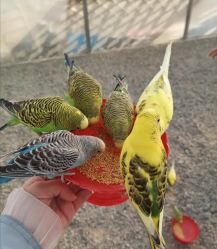 -萌宠亲子动物乐园(槐房万达店)