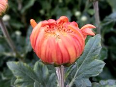 -共青国家森林公园-售票处