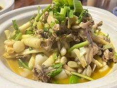 -小小饭店·休闲农庄·安吉松树林里的农家菜
