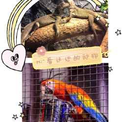 -酷嗒动物文化乐园(cutezoo西溪乐天城店)