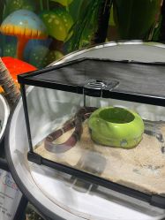 -酷嗒动物文化乐园(cutezoo西溪乐天城店)